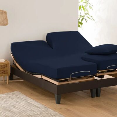 La Redoute Interieurs - SCENARIO - 140 x 190 cm - Fitted Sheet La Redoute Interieurs - SCENARIO - 140 x 190 cm - Fitted Sheet
