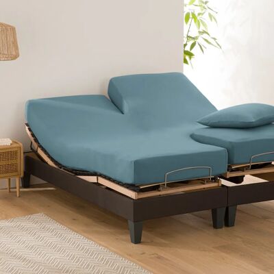 LA REDOUTE INTERIEURS - Scenario - Azul - 180x200 cm - Fitted sheet LA REDOUTE INTERIEURS - Scenario - Azul - 180x200 cm - Fitted sheet