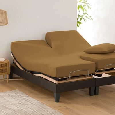 La Redoute Interieurs - Scenario - Bronze - Fitted Sheet La Redoute Interieurs - Scenario - Bronze - Fitted Sheet