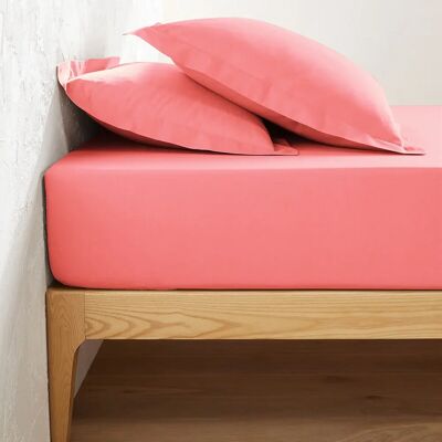 La Redoute Interieurs - Scenario - 120 x 190 - Fitted sheet La Redoute Interieurs - Scenario - 120 x 190 - Fitted sheet