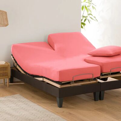 La Redoute Interieurs - Scenario - 160x200 - Fitted sheet La Redoute Interieurs - Scenario - 160x200 - Fitted sheet