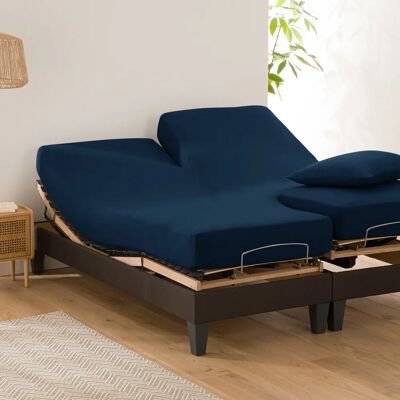 La Redoute Interieurs Sábana bajera de algodón azul para cama articulada La Redoute Interieurs Sábana bajera de algodón azul para cama articulada