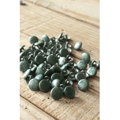 Eglantine et Zoé - Shiny 10mm - vert sauge - Button Eglantine et Zoé - Shiny 10mm - vert sauge - Button