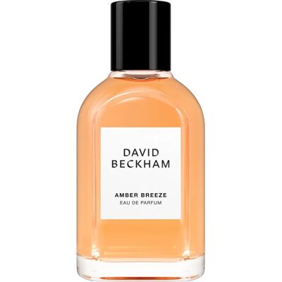 David Beckham Amber Breeze - Άρωμα για άνδρες 50ml David Beckham Amber Breeze - Άρωμα για άνδρες 50ml