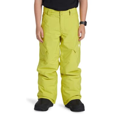 DC BANSHEE JEUNE - Vert pomme - Chaussures enfants DC BANSHEE JEUNE - Vert pomme - Chaussures enfants