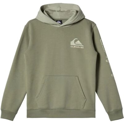 Quiksilver Grüner Hoodie - Omni-Logo - 8 Jahre Quiksilver Grüner Hoodie - Omni-Logo - 8 Jahre