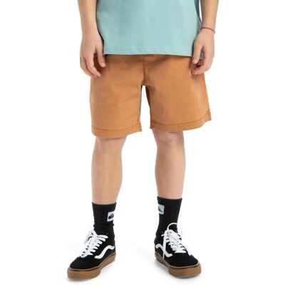 Quiksilver Shorts pour enfants Taxer - Shorts Quiksilver Shorts pour enfants Taxer - Shorts