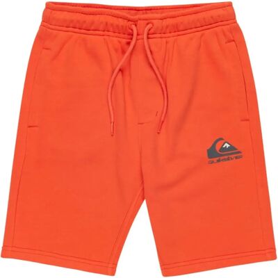 QUIKSILVER Easy Day Bermudas, Kinder, Gr. 10, Orange QUIKSILVER Easy Day Bermudas, Kinder, Gr. 10, Orange