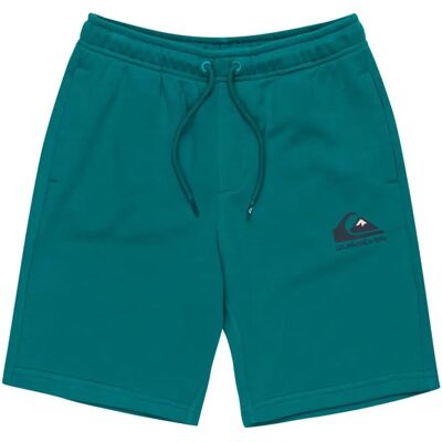 QUIKSILVER Easy Day Shorts - Shorts mit elastischem Bund für Jungs 8-16 QUIKSILVER Easy Day Shorts - Shorts mit elastischem Bund für Jungs 8-16