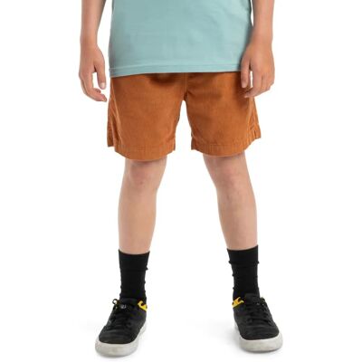 QUIKSILVER Taxer - Bermuda per bambini - Vita elastica - Cotone QUIKSILVER Taxer - Bermuda per bambini - Vita elastica - Cotone
