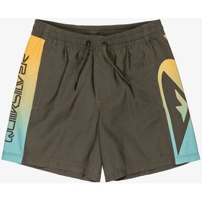 Quiksilver Everyday Holmes Volley 14 Kurzes Badebekleidung - Badeanzug Quiksilver Everyday Holmes Volley 14 Kurzes Badebekleidung - Badeanzug