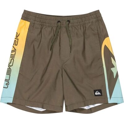 Quiksilver Everyday Holmes Volley 14 Maillot de bain court - Maillot Quiksilver Everyday Holmes Volley 14 Maillot de bain court - Maillot