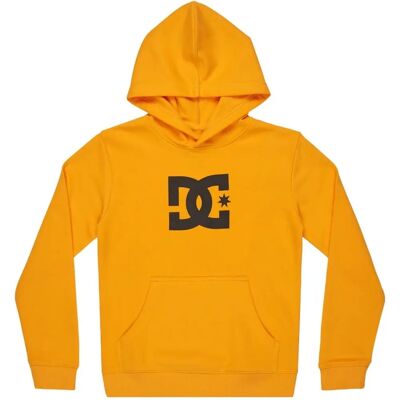 DC SHOES DC Star Felpa con Cappuccio per Bambini - Hoodies DC SHOES DC Star Felpa con Cappuccio per Bambini - Hoodies