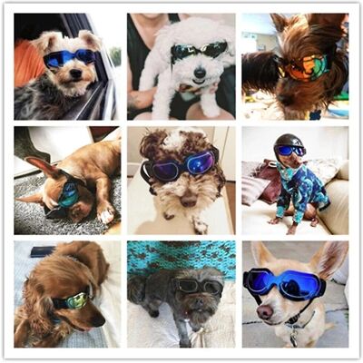 GreenZech Adjustable Pet Dog Sunglasses Goggles Sun Glasses - Pet Type GreenZech Adjustable Pet Dog Sunglasses Goggles Sun Glasses - Pet Type