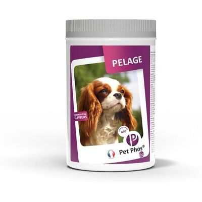 CEVA Pet Phos Canin Complément pour Pelage - Supplément alimentaire - Publicité CEVA Pet Phos Canin Complément pour Pelage - Supplément alimentaire - Publicité