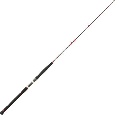 Caña de Pesca Daiwa Saltist 2.44 m - Spinning Rod Caña de Pesca Daiwa Saltist 2.44 m - Spinning Rod