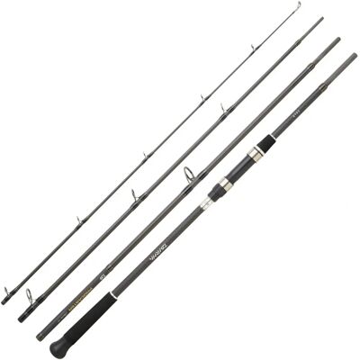 Canne de Pêche Maritime Daiwa Procaster Voyage - Moyen-Lourd - Publicité Canne de Pêche Maritime Daiwa Procaster Voyage - Moyen-Lourd - Publicité
