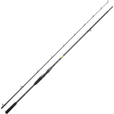 Daiwa Prorex E Polyvalent - Canne en carbone haute module - Publicité Daiwa Prorex E Polyvalent - Canne en carbone haute module - Publicité