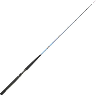 Daiwa - Tanacom Boat - 200 cm - 250-1000 g - Caña de pescar Daiwa - Tanacom Boat - 200 cm - 250-1000 g - Caña de pescar