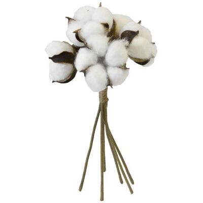 Générique Bouquet de fleurs de coton 6 têtes 24cm Blanc - Bouquet de fleurs - Publicité Générique Bouquet de fleurs de coton 6 têtes 24cm Blanc - Bouquet de fleurs - Publicité