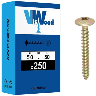 VISWOOD - Torx ZC Charnière - 6x20 mm - Filetage total - Vis de penture - Publicité VISWOOD - Torx ZC Charnière - 6x20 mm - Filetage total - Vis de penture - Publicité