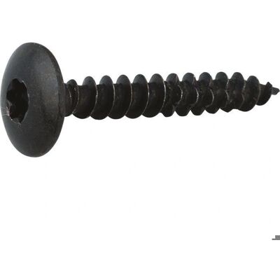 Vis de penture en acier noir Torx - 6x30 mm - 200 pièces - Publicité Vis de penture en acier noir Torx - 6x30 mm - 200 pièces - Publicité