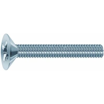 VISWOOD Zink Schraube Pozidriv - Vollgewinde - Metallkopf - 30mm VISWOOD Zink Schraube Pozidriv - Vollgewinde - Metallkopf - 30mm