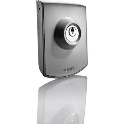 Somfy 2400597 Interruptor de chave para portão ou garagem - IP54 Somfy 2400597 Interruptor de chave para portão ou garagem - IP54