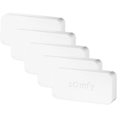 Somfy 2401488 Vibrationsdetektor - Alarmtillbehör Somfy 2401488 Vibrationsdetektor - Alarmtillbehör