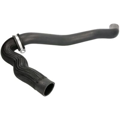 Tubo radiatore superiore destro Sasic Renault Laguna - Tubo di raffreddamento Tubo radiatore superiore destro Sasic Renault Laguna - Tubo di raffreddamento