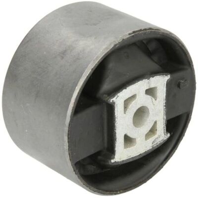 SASIC Modello 2700091 Supporto trasmissione - Compatibile con Citroën C5 C6 SASIC Modello 2700091 Supporto trasmissione - Compatibile con Citroën C5 C6