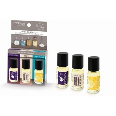 Ensemble de 3 Parfums Esteban Paris - Diffuseurs & Céramique - Publicité Ensemble de 3 Parfums Esteban Paris - Diffuseurs & Céramique - Publicité