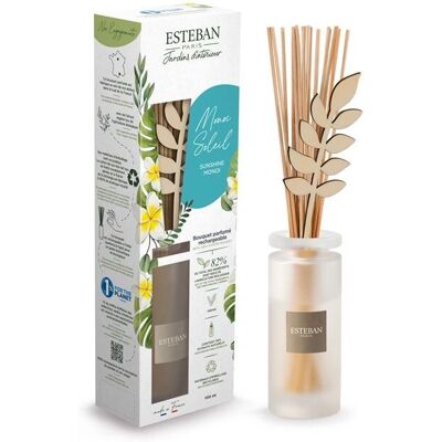 Esteban Paris Monoi Soleil Bouquet - Parfum d'intérieur - Publicité Esteban Paris Monoi Soleil Bouquet - Parfum d'intérieur - Publicité