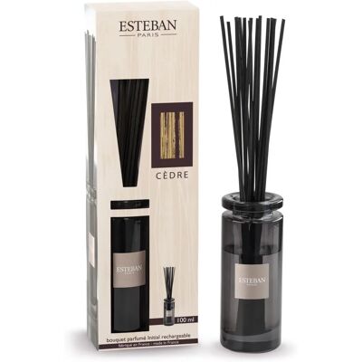 Diffusore di Cedro Esteban - Diffusione per Capillarità - 100ml Diffusore di Cedro Esteban - Diffusione per Capillarità - 100ml