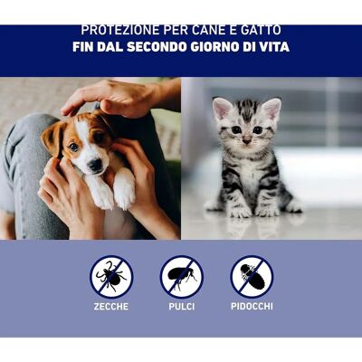 Spray Protettivo Frontline per Cani & Gatti 100ml - Ectoparassiticida Spray Protettivo Frontline per Cani & Gatti 100ml - Ectoparassiticida