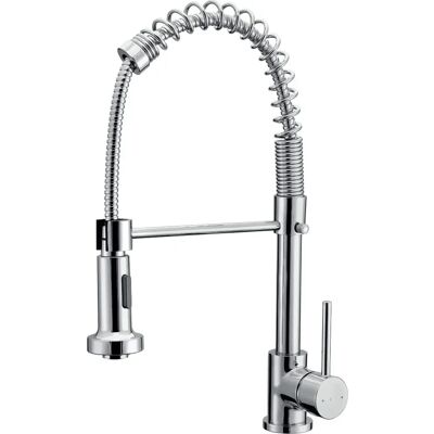 Grifo mezclador de cocina ESSEBAGNO Plimo - Con ducha de mano - Cromo Grifo mezclador de cocina ESSEBAGNO Plimo - Con ducha de mano - Cromo