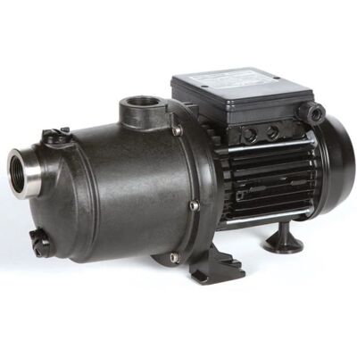 Pentair - Boost-Rite - 1,5 CV - MONO - Pompe piscine - Publicité Pentair - Boost-Rite - 1,5 CV - MONO - Pompe piscine - Publicité