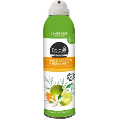 Désodorisant en Aerosol Écologique Boldair - Orange Bergamote - 250ml - Publicité Désodorisant en Aerosol Écologique Boldair - Orange Bergamote - 250ml - Publicité