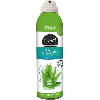 Désodorisant Menthe & Aloe Vera Boldair - 250 ml - Publicité Désodorisant Menthe & Aloe Vera Boldair - 250 ml - Publicité