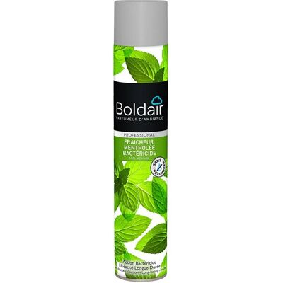 Boldair PV56075501 Désodorisant Liquide - Menthe - 500ml - Publicité Boldair PV56075501 Désodorisant Liquide - Menthe - 500ml - Publicité