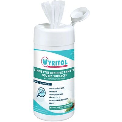 Wyritol PV56151004 Lingettes désinfectantes - 120 feuilles - Polyvalentes Désinfectantes - Publicité Wyritol PV56151004 Lingettes désinfectantes - 120 feuilles - Polyvalentes Désinfectantes - Publicité