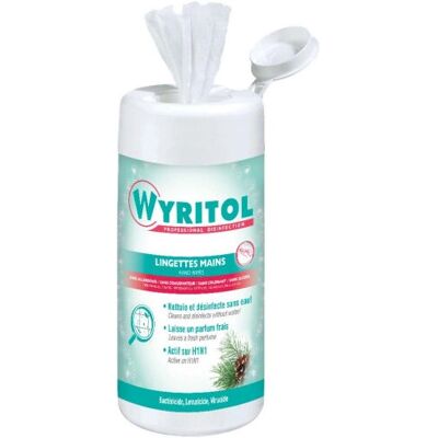 Lingettes désinfectantes Wyritol PV56153101 - Parfum pin - 100 pcs - Publicité Lingettes désinfectantes Wyritol PV56153101 - Parfum pin - 100 pcs - Publicité