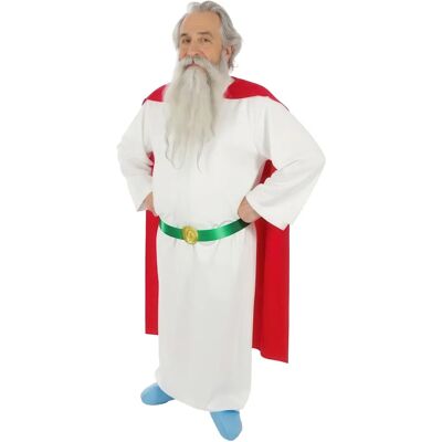 Costume Adulte Panoramix Druide - Taille Large Costume Adulte Panoramix Druide - Taille Large