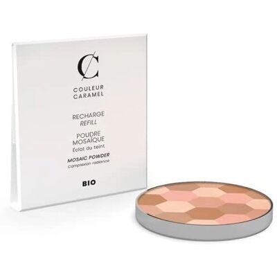 Couleur Caramel Terre Poudre N°232 Teint Clair Recharge - Poudre Compacte - Publicité Couleur Caramel Terre Poudre N°232 Teint Clair Recharge - Poudre Compacte - Publicité