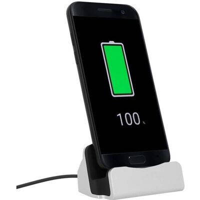 Avizar SmartCharge Synchro Dock - USB C Silver Avizar SmartCharge Synchro Dock - USB C Silver