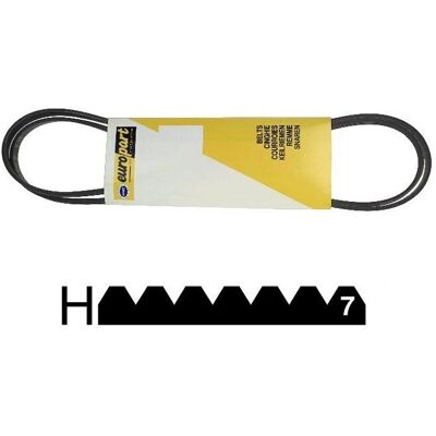 FAURE Cinghia Asciugatrice - Resistente, Compatibile con Vari Modelli FAURE Cinghia Asciugatrice - Resistente, Compatibile con Vari Modelli