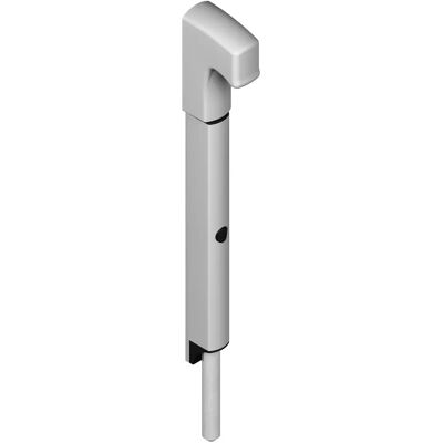 DANAOS - DS6368 - 281mm - inox - Serrure - Publicité DANAOS - DS6368 - 281mm - inox - Serrure - Publicité