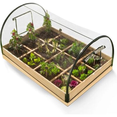 IDMarket Mini Serre de Jardin - 12 Compartiments, Housse Amovible - Publicité IDMarket Mini Serre de Jardin - 12 Compartiments, Housse Amovible - Publicité