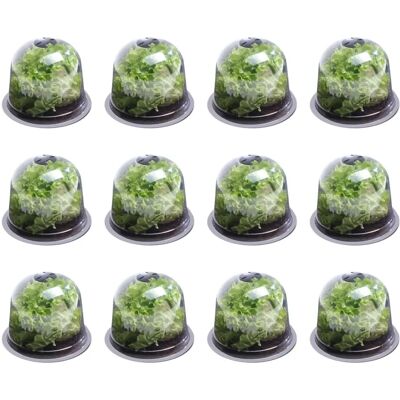 IDMARKET Copertura insalata - Protegge da intemperie IDMARKET Copertura insalata - Protegge da intemperie