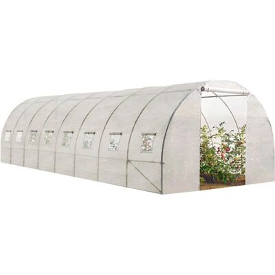 Idmarket DES ANDES 8x3M Serre Tunnel de Jardin - 24m² Résistant UV Idmarket DES ANDES 8x3M Serre Tunnel de Jardin - 24m² Résistant UV